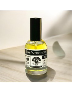 178 - Recuerda a Y Elixir de Yves Saint Laurent 2